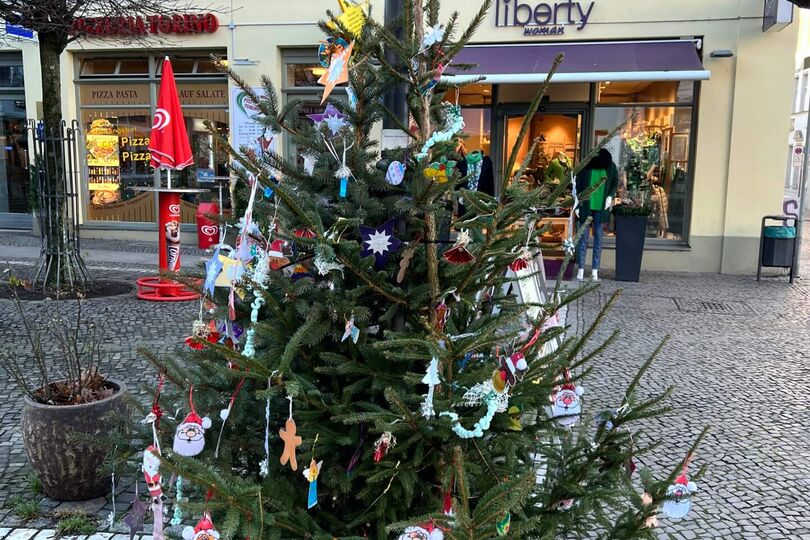 1. Platz Frederic-Joliot-Curie Schule, Klasse 3a (Baum 35/36)