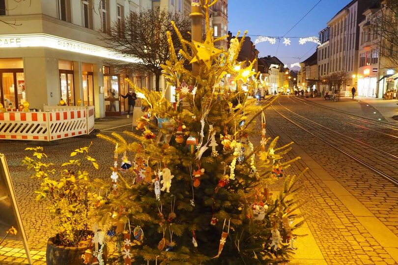 1. Platz Frederic-Joliot-Curie Schule, Klasse 3a (Baum 35/36)