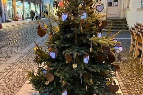 3. Platz Hort der Frederic-Joliot-Curie Schule (Baum 37/38)