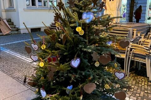 3. Platz Hort der Frederic-Joliot-Curie Schule (Baum 37/38)