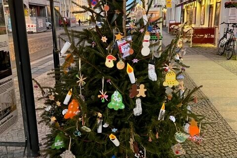 2. Platz Kita Kiwi (Baum 79)