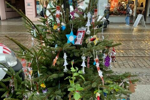 1. Platz Frederic-Joliot-Curie Schule, Klasse 3a (Baum 35/36)