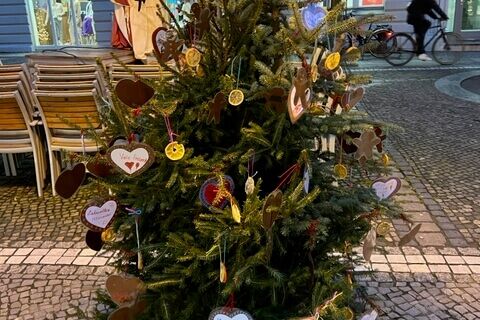 3. Platz Hort der Frederic-Joliot-Curie Schule (Baum 37/38)