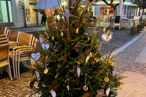 3. Platz Hort der Frederic-Joliot-Curie Schule (Baum 37/38)