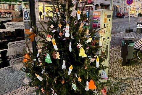 2. Platz Kita Kiwi (Baum 79)